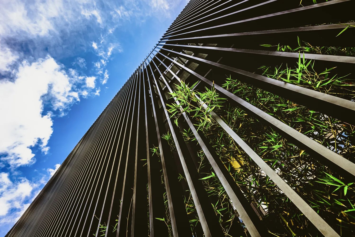 Oficina Corporativa CIFA — CERTESA